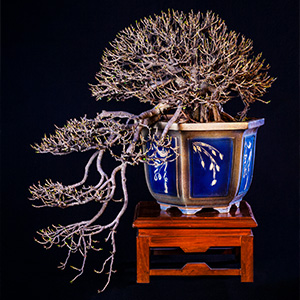 Conceptual photographer dehradun